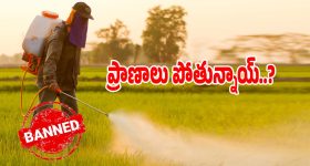Devayani Sharma : శారీలో సింపుల్ లుక్ లో ఆకట్టుకుంటున్న దేవయాని.. భలే ఉంది కదూ..