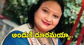 Geetha Singh: నటి గీతా సింగ్ పెళ్లి చేసుకోకపోవడానికి కారణం ఇదే.. కొడుకు మాత్రం..