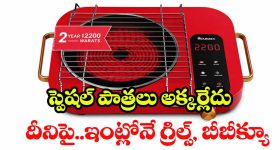 Warmex Infrared Cooktop: ఈ ఒక్కటి ఉంటే చాలు.. రెస్టారెంట్ స్టైల్ వంటకాలన్నీ ఇంట్లోనే చేసేయొచ్చు