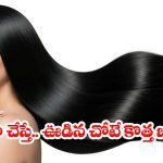 Hair Regrowth Tips: జుట్టు పలచబడిందా? ఈ టిప్స్ పాటిస్తే.. 3 వారాల్లోనే  కొత్త జుట్టు