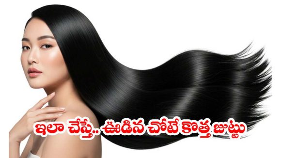 Hair Regrowth Tips: జుట్టు పలచబడిందా? ఈ టిప్స్ పాటిస్తే.. 3 వారాల్లోనే  కొత్త జుట్టు