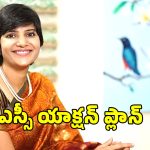 Collector Harichandana: ఎస్సీల ఆర్థికాభివృద్ధికి కొత్త పథకం.. టూ వీలర్, త్రీ వీలర్ దరఖాస్తులు ఆహ్వానం