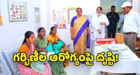 Collector Haimavathi: గర్భిణీల ఆరోగ్యంపై ప్రత్యేక దృష్టి సారించండి.. ఆసుపత్రి సిబ్బందికి కలెక్టర్ హైమావతి సూచన