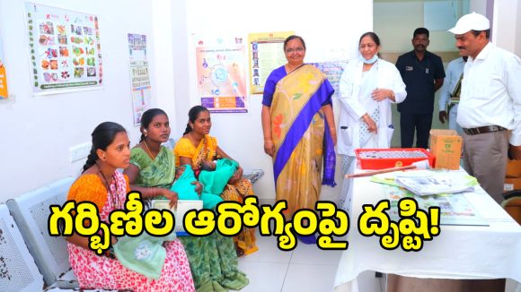 Collector Haimavathi: గర్భిణీల ఆరోగ్యంపై ప్రత్యేక దృష్టి సారించండి.. ఆసుపత్రి సిబ్బందికి కలెక్టర్ హైమావతి సూచన