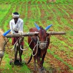 India agricultural debt statistics:  అప్పుల్లో అన్నదాత.. ఏపీ, తెలంగాణ‌ల ర్యాంకులు ఎంతంటే ?
