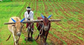 India agricultural debt statistics:  అప్పుల్లో అన్నదాత.. ఏపీ, తెలంగాణ‌ల ర్యాంకులు ఎంతంటే ?