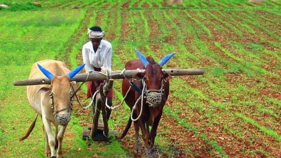 India agricultural debt statistics:  అప్పుల్లో అన్నదాత.. ఏపీ, తెలంగాణ‌ల ర్యాంకులు ఎంతంటే ?