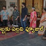 Intinti Ramayanam Today Episode: ఆస్తి కోసం రచ్చ చేసిన శ్రీయ.. పల్లవిపై కమల్ సీరియస్.. చక్రధర్ కీలక నిర్ణయం..