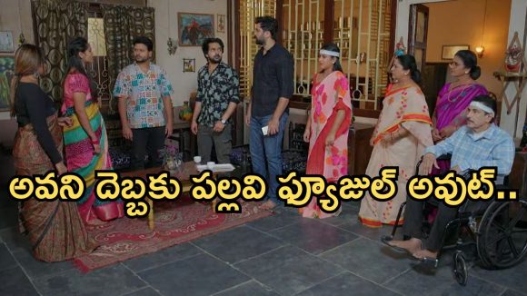 Intinti Ramayanam Today Episode: ఆస్తి కోసం రచ్చ చేసిన శ్రీయ.. పల్లవిపై కమల్ సీరియస్.. చక్రధర్ కీలక నిర్ణయం..