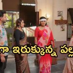 Intinti Ramayanam Today Episode: పల్లవికి షాకిచ్చిన అవని.. నిజం బయటపడిందా..? మీనాక్షిని సేఫ్..