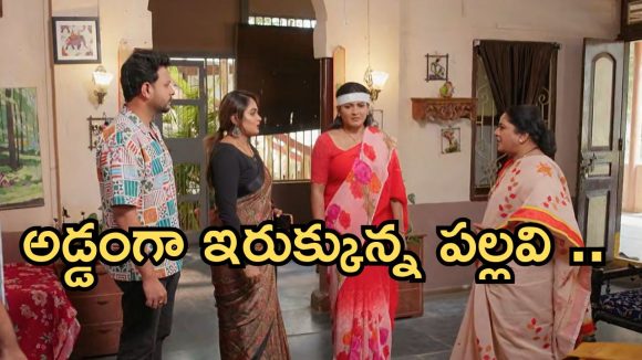 Intinti Ramayanam Today Episode: పల్లవికి షాకిచ్చిన అవని.. నిజం బయటపడిందా..? మీనాక్షిని సేఫ్..