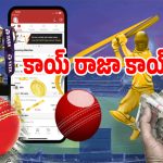 IPL Betting: ఐపీఎల్ బెట్టింగ్ భూతం.. కోటీశ్వరులను సైతం రోడ్డున పడేసే యాప్స్ ఇవే..!