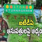 ITDA Hospitals: తెలంగాణ రాష్ట్రంలోని ఈ ప్రాంతాల్లో.. ఐటీడీఏ ఆసుపత్రులపై అధ్యయనం..?