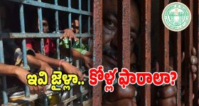 Karthika Deepam 2 Serial Today march 4th: ‘కార్తీక దీపం 2’ సీరియల్‌: కాంచనకు నిజం చెప్పిన పారిజాతం