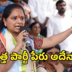 Kavitha New Party: కవిత పెట్టబోయే పార్టీ పేరు ఇదే.. ఈ వారంలో జెండా, గుర్తులపై క్లారిటీ?