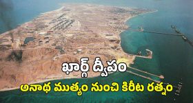 Janasena : జీరో టు 100 స్ట్రైక్ రేట్.. నెక్స్ట్ ఏంటి?