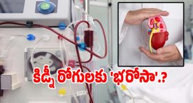 Ban On SRH: SRHపై 5 ఏళ్ల‌ పాటు నిషేధం..? షాక్ లో కావ్య పాప‌