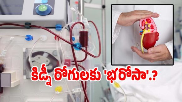Dialysis Centres: కిడ్నీ వ్యాధిగ్రస్తులకు గుడ్ న్యూస్ చెప్పిన తెలంగాణ సర్కార్..!