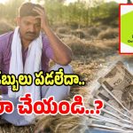 PM Kisan: పీఎం కిసాన్ డబ్బులు మీకు ఇంకా పడలేదా.. త్వరగా ఇలా చేయండి..?