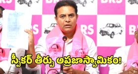 Stuffed Bitter gourd: టేస్టీ స్టఫ్డ్ కాకరకాయ రెసిపీ.. ఇలా వండితే ఎవరికైనా నచ్చేస్తుంది