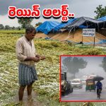 Heavy Rains: తెలుగు రాష్ట్రాల్లో దంచికొట్టిన వర్షం.. మరో మూడు రోజులు ఆ జిల్లాలకు ఆరెంజ్ అలర్ట్