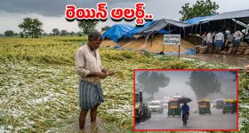 Heavy Rains: తెలుగు రాష్ట్రాల్లో దంచికొట్టిన వర్షం.. మరో మూడు రోజులు ఆ జిల్లాలకు ఆరెంజ్ అలర్ట్