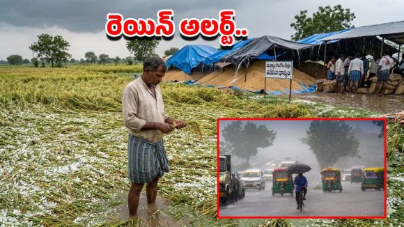 Heavy Rains: తెలుగు రాష్ట్రాల్లో దంచికొట్టిన వర్షం.. మరో మూడు రోజులు ఆ జిల్లాలకు ఆరెంజ్ అలర్ట్