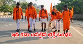 గల్ఫ్ దేశాలకు ఇరాన్ అధ్యక్షుడు పెజెష్కియాన్‌ హెచ్చరిక, అలాగైతే భూస్థాపితం చేస్తాం