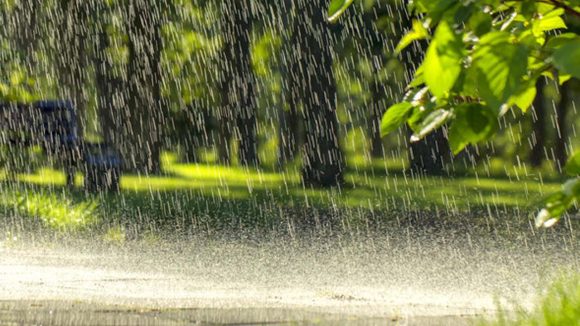 Rain Alert: మళ్లీ వర్షాలు బాబోయ్.. వచ్చే 3 రోజులు జాగ్రత్త.. ఆ జిల్లాలకు ఎల్లో అలర్ట్