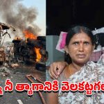 Bus Accident: ఘోరం.. మార్కాపురం బస్సు ప్రమాదంలో కొడుకుని కాపాడి తల్లి మృతి