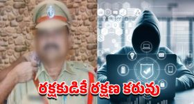 Infrared Cooktop vs Induction Stove: ఇండక్షన్ స్టౌవ్‌ స్టాక్ అవుటా? అయితే ఈ ఇన్‌ఫ్రారెడ్ కుక్‌టాప్ పై ఓ లుక్కేయండి