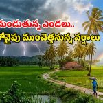AP Weather: అలర్ట్.. ఏపీలో మరో నాలుగు రోజులు భారీ వర్షాలు.. పిడుగులు, ఈదురు గాలులతో జాగ్రత్త!