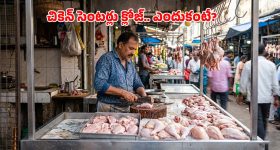 హైదరాబాద్‌లో భారీగా తగ్గిన చికెన్ ధరలు.. రేపటి నుంచి షాపుల బంద్! ఎందుకంటే?