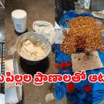 Food Adulteration: కప్ కేక్స్ లొట్టలేసుకుని తింటున్నారా? అయితే ఒక్కసారి ఈ వీడియో చూడండి!