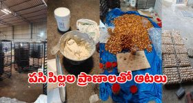 Food Adulteration: కప్ కేక్స్ లొట్టలేసుకుని తింటున్నారా? అయితే ఒక్కసారి ఈ వీడియో చూడండి!