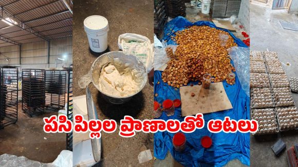 Food Adulteration: కప్ కేక్స్ లొట్టలేసుకుని తింటున్నారా? అయితే ఒక్కసారి ఈ వీడియో చూడండి!