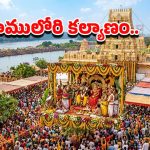 Rama Navami: వైభవంగా సీతారాముల కళ్యాణ మహోత్సవం.. తెలుగు రాష్ట్రాల్లో ఆధ్యాత్మిక సందడి