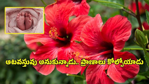 కర్ణాటకలో విషాదం.. మందార పువ్వు మింగి ఆరు నెలల పసికందు మృతి!