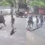 Drunken Attack: వరంగల్‌లో ఆకతాయిల వీరంగం.. బైక్‌పై వెళ్తున్న వారిపై బీరు సీసాలతో దాడి, సీసీ ఫుటేజ్