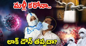 Fish Consumption: అమ్మో, రోజుకు లక్షల టన్నులా.. ఈ దేశం మొత్తం చేపలు తిని బతికేస్తున్నారు బ్రో!
