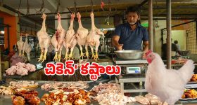 టీవీలకే సుప్రీం బాస్! 100 ఇంచుల భారీ స్క్రీన్.. పిక్చర్ క్వాలిటీలో తగ్గేదే లే!