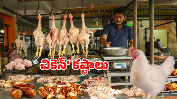 చికెన్ ప్రియులకు బ్యాడ్ న్యూస్.. ఏప్రిల్ 1 నుంచి తెలంగాణలో చికెన్ షాపుల బంద్!