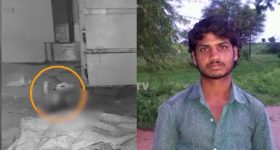 Jadcherla: దారుణం.. మార్చురీలో శవాన్ని పీక్కుతిన్న కుక్క.. నిద్రపోతున్న జడ్చర్ల ఆసుపత్రి యంత్రాంగం!