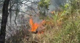 LPG Supply Rules: సామాన్యులకు భారీ ఊరట.. వంట గ్యాస్ సరఫరాపై కేంద్రం కీలక నిర్ణయం