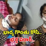 Wife Husband Incident: ఏలూరు జిల్లాలో దారుణం.. భార్య గొంతు కోసి, తర్వాత భర్త..