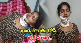 Wife Husband Incident: ఏలూరు జిల్లాలో దారుణం.. భార్య గొంతు కోసి, తర్వాత భర్త..