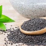 Basil Seeds Benefits: పోషక విలువల నిధి ఈ నల్లని గింజలు.. వేసవిలో ఆరోగ్యానికి ఫుల్ గ్యారెంటీ