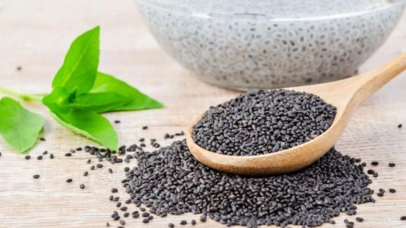 Basil Seeds Benefits: పోషక విలువల నిధి ఈ నల్లని గింజలు.. వేసవిలో ఆరోగ్యానికి ఫుల్ గ్యారెంటీ