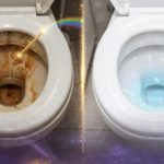 Toilet Stains Trick: టాయిలెట్‌లో మొండి మరకలతో ఇబ్బందిపడుతున్నారా? ఈ సింపుల్ ట్రిక్‌తో క్లీన్ చేస్తే మెరిసిపోతుంది