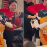 Robot malfunction: అదుపు తప్పిన రోబో.. హెటల్‌లో టేబుల్స్, ప్లేట్లు పగలగొట్టి డ్యాన్స్.. ఏం జరిగిందంటే